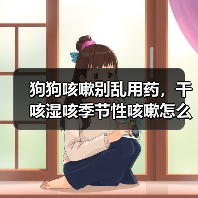 狗狗咳嗽别乱用药，干咳湿咳季节性咳嗽怎么治？