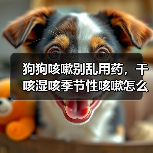 狗狗咳嗽别乱用药,干咳湿咳季节性咳嗽怎么治?(图2) 狗狗咳嗽别乱用药,干咳湿咳季节性咳嗽怎么治?(图2)