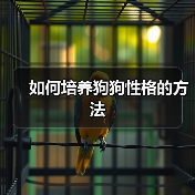 如何培养狗狗性格的方法(图1) 如何培养狗狗性格的方法(图1)