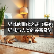 猫咪的驯化之谜(探究猫咪与人类的关系及驯化限制)(图2) 猫咪的驯化之谜(探究猫咪与人类的关系及驯化限制)(图2)