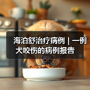 海泊舒治疗病例 | 一例犬咬伤的病例报告(图2) 海泊舒治疗病例 | 一例犬咬伤的病例报告(图2)