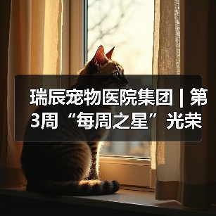 瑞辰宠物医院集团 | 第3周“每周之星”光荣榜(图1) 瑞辰宠物医院集团 | 第3周“每周之星”光荣榜(图1)