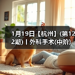 1月19日【杭州】(第122期)丨外科手术(中阶)实战班，2人/组提供一猫一狗，实操超多！