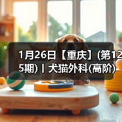 1月26日【重庆】(第125期)丨犬猫外科(高阶)班！含SUB(人人可实操)、乳糜胸等技术！