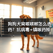 狗狗犬窝咳咳嗽怎么选药?抗病毒+镇咳药推荐,科学用药全解析(图1) 狗狗犬窝咳咳嗽怎么选药?抗病毒+镇咳药推荐,科学用药全解析(图1)