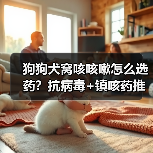 狗狗犬窝咳咳嗽怎么选药?抗病毒+镇咳药推荐,科学用药全解析(图4) 狗狗犬窝咳咳嗽怎么选药?抗病毒+镇咳药推荐,科学用药全解析(图4)