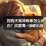 狗狗犬窝咳咳嗽怎么选药?抗病毒+镇咳药推荐,科学用药全解析(图2) 狗狗犬窝咳咳嗽怎么选药?抗病毒+镇咳药推荐,科学用药全解析(图2)