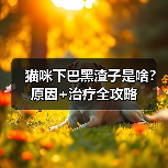 猫咪下巴黑渣子是啥？原因+治疗全攻略（图4）