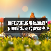 猫咪皮肤脱毛是猫癣?初期症状图片教你快速识别(图3) 猫咪皮肤脱毛是猫癣?初期症状图片教你快速识别(图3)