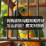 狗狗皮肤问题初期症状怎么识别?图文对照教你快速判断(图4) 狗狗皮肤问题初期症状怎么识别?图文对照教你快速判断(图4)