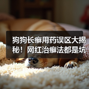 狗狗长癣用药误区大揭秘!网红治癣法都是坑,正确方案如何选?(图2) 狗狗长癣用药误区大揭秘!网红治癣法都是坑,正确方案如何选?(图2)