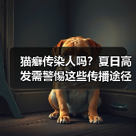 猫癣传染人吗?夏日高发需警惕这些传播途径(图2) 猫癣传染人吗?夏日高发需警惕这些传播途径(图2)