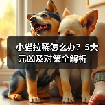 小猫拉稀怎么办?5大元凶及对策全解析(图1) 小猫拉稀怎么办?5大元凶及对策全解析(图1)