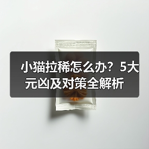 小猫拉稀怎么办?5大元凶及对策全解析(图3) 小猫拉稀怎么办?5大元凶及对策全解析(图3)