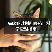 猫咪呕吐别乱喂药!科学应对指南(图1) 猫咪呕吐别乱喂药!科学应对指南(图1)