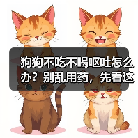 狗狗不吃不喝呕吐怎么办?别乱用药,先看这些关键病因(图1) 狗狗不吃不喝呕吐怎么办?别乱用药,先看这些关键病因(图1)