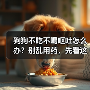 狗狗不吃不喝呕吐怎么办?别乱用药,先看这些关键病因(图4) 狗狗不吃不喝呕吐怎么办?别乱用药,先看这些关键病因(图4)