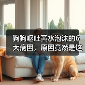 狗狗呕吐黄水泡沫的6大病因,原因竟然是这些?(图2) 狗狗呕吐黄水泡沫的6大病因,原因竟然是这些?(图2)