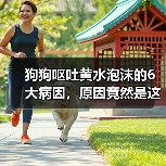 狗狗呕吐黄水泡沫的6大病因,原因竟然是这些?(图3) 狗狗呕吐黄水泡沫的6大病因,原因竟然是这些?(图3)