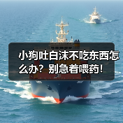 小狗吐白沫不吃东西怎么办?别急着喂药!(图4) 小狗吐白沫不吃东西怎么办?别急着喂药!(图4)