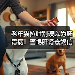 老年猫拉吐别误以为肠胃病!警惕肝肾衰竭信号(图4) 老年猫拉吐别误以为肠胃病!警惕肝肾衰竭信号(图4)