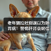 老年猫拉吐别误以为肠胃病!警惕肝肾衰竭信号(图3) 老年猫拉吐别误以为肠胃病!警惕肝肾衰竭信号(图3)