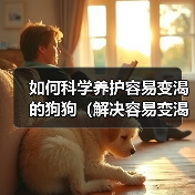 如何科学养护容易变渴的狗狗(解决容易变渴狗狗的饮水难题,让它们健康成长)(图3) 如何科学养护容易变渴的狗狗(解决容易变渴狗狗的饮水难题,让它们健康成长)(图3)