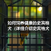 如何饲养健康的史宾格犬(详细介绍史宾格犬的饲养方法,让您的爱宠健康成长)(图3) 如何饲养健康的史宾格犬(详细介绍史宾格犬的饲养方法,让您的爱宠健康成长)(图3)