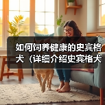 如何饲养健康的史宾格犬(详细介绍史宾格犬的饲养方法,让您的爱宠健康成长)(图4) 如何饲养健康的史宾格犬(详细介绍史宾格犬的饲养方法,让您的爱宠健康成长)(图4)
