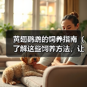 黄翅鹦鹉的饲养指南(了解这些饲养方法,让你的黄翅鹦鹉健康快乐)(图4) 黄翅鹦鹉的饲养指南(了解这些饲养方法,让你的黄翅鹦鹉健康快乐)(图4)