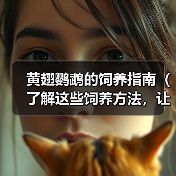 黄翅鹦鹉的饲养指南(了解这些饲养方法,让你的黄翅鹦鹉健康快乐)(图2) 黄翅鹦鹉的饲养指南(了解这些饲养方法,让你的黄翅鹦鹉健康快乐)(图2)