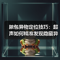 脓包异物定位技巧：超声如何精准发现隐藏异物？