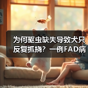 为何驱虫缺失导致犬只反复抓挠?一例FAD病例分析(图3) 为何驱虫缺失导致犬只反复抓挠?一例FAD病例分析(图3)