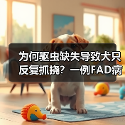 为何驱虫缺失导致犬只反复抓挠?一例FAD病例分析(图2) 为何驱虫缺失导致犬只反复抓挠?一例FAD病例分析(图2)