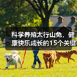 科学养殖太行山兔,健康快乐成长的15个关键技巧(图2) 科学养殖太行山兔,健康快乐成长的15个关键技巧(图2)
