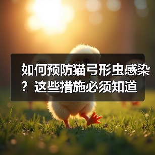 如何预防猫弓形虫感染？这些措施必须知道（图4）