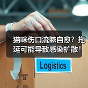 猫咪伤口流脓自愈?拖延可能导致感染扩散!正确处理方法大公开(图2) 猫咪伤口流脓自愈?拖延可能导致感染扩散!正确处理方法大公开(图2)