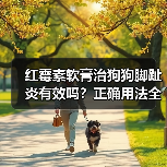 红霉素软膏治狗狗脚趾炎有效吗?正确用法全解析(图2) 红霉素软膏治狗狗脚趾炎有效吗?正确用法全解析(图2)