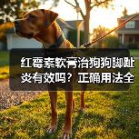 红霉素软膏治狗狗脚趾炎有效吗?正确用法全解析(图4) 红霉素软膏治狗狗脚趾炎有效吗?正确用法全解析(图4)