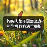 狗狗肉垫干裂怎么办?科学急救方法全解析(图4) 狗狗肉垫干裂怎么办?科学急救方法全解析(图4)