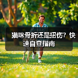 猫咪骨折还是扭伤?快速自查指南(图4) 猫咪骨折还是扭伤?快速自查指南(图4)