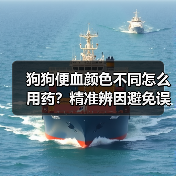 狗狗便血颜色不同怎么用药?精准辨因避免误治(图4) 狗狗便血颜色不同怎么用药?精准辨因避免误治(图4)