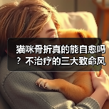猫咪骨折真的能自愈吗？不治疗的三大致命风险！（图1）