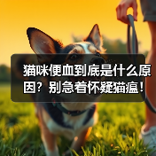 猫咪便血到底是什么原因?别急着怀疑猫瘟!(图2) 猫咪便血到底是什么原因?别急着怀疑猫瘟!(图2)