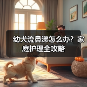 幼犬流鼻涕怎么办？家庭护理全攻略