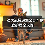 幼犬流鼻涕怎么办?家庭护理全攻略(图4) 幼犬流鼻涕怎么办?家庭护理全攻略(图4)