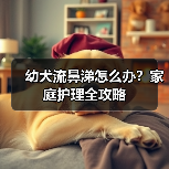 幼犬流鼻涕怎么办?家庭护理全攻略(图3) 幼犬流鼻涕怎么办?家庭护理全攻略(图3)