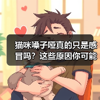 猫咪嗓子哑真的只是感冒吗？这些原因你可能不知道（图2）
