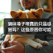 猫咪嗓子哑真的只是感冒吗？这些原因你可能不知道
