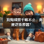 狗狗频繁干咳不止,竟是这些原因?(图2) 狗狗频繁干咳不止,竟是这些原因?(图2)